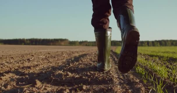 農夫は早春に耕作場を歩く 低角度 男は農民のフィールドでは 地平線の上に青い空のゴム製のブーツを歩く 農業地帯を歩いている男 スローモーション — ストック動画