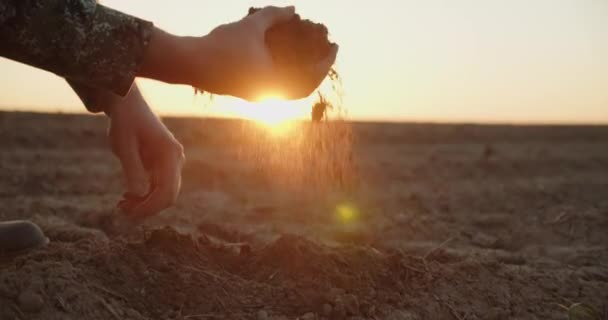 Agricultor Sosteniendo Suelo Las Manos Cerca Mientras Pone Sol Manos — Vídeo de stock