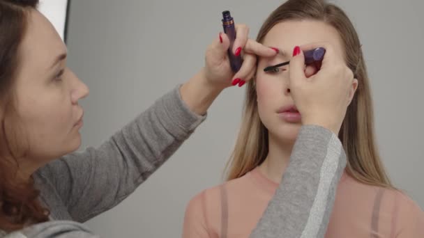 Make Umělec Kosmetické Studio Dělá Make Pro Krásnou Dívku Žena — Stock video