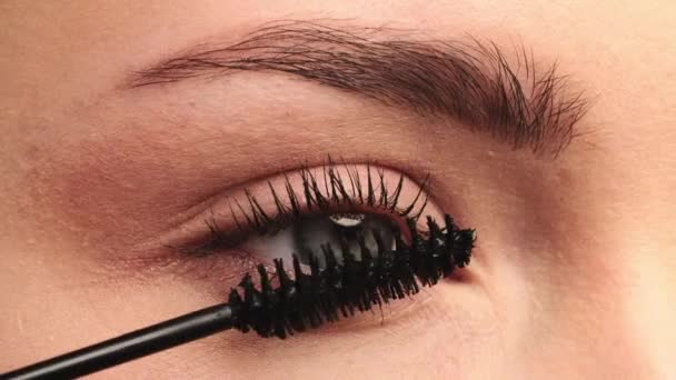 Nahaufnahme Stylistin Trägt Schwarze Mascara Auf Die Wimpern Der Weiblichen — Stockvideo