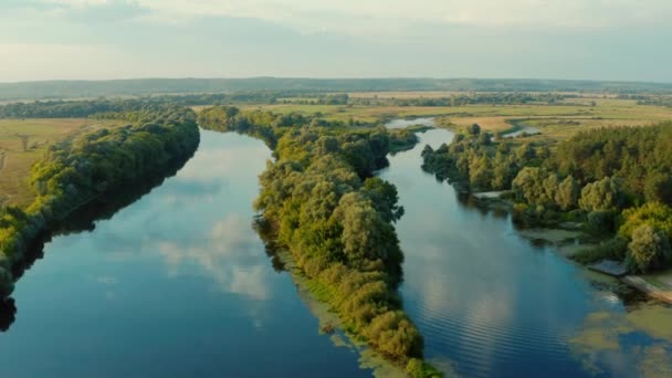Widok Lotu Ptaka Nad Pięknym Krajobrazem Rzeką Podczas Zachodu Słońca — Wideo stockowe