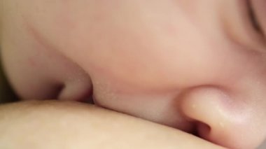 Bebek annenin memesini emziriyor. Yeni doğmuş bir bebek annesinin memesinden süt emiyor. Beyaz bir bebeğin annesinin memesini emerken ki görüntüsü. Yavaş çekim sinematik çekim. Yemek zamanı..