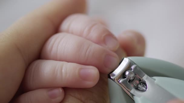 엄마는 태어난 아기의 손톱을 냅니다 유아의 손톱이 잘려나간 매크로 손톱을 — 비디오