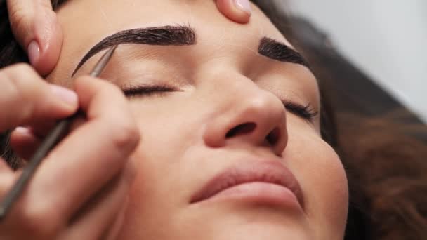 Ögonbrynsfärg Professionell Laminering Kvinnliga Ögonbryn Skönhetssalong Närbild Bild Klientens Ansikte — Stockvideo