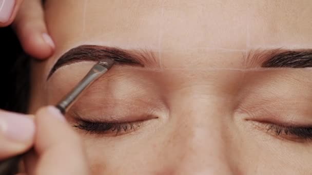 Eyebrow Coloring Professional Lamination Procedures Female Eyebrows Beauty Salon Closeup — Stock Video