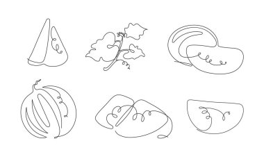 İzole edilmiş tek çizgi karpuzların grafiksel vektör kümesi