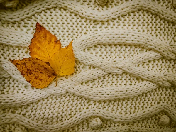 Feuilles Jaunes Sur Fond Tricoté — Photo