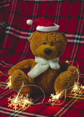  Kırmızı battaniyedeki oyuncak ayı