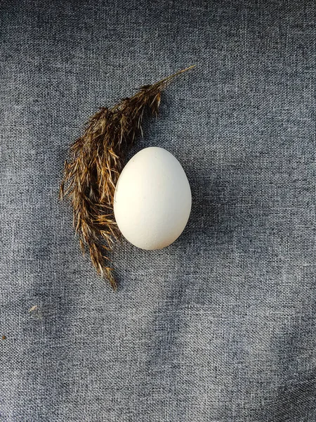 Białe Jajko Szarym Tle Wielkanocna Piosenka — Zdjęcie stockowe
