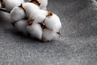 Gri kumaşta pamuk dalı, yakın plan.