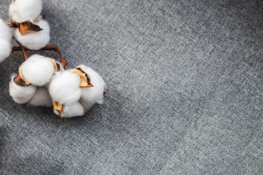 Gri kumaşta pamuk dalı, yakın plan.