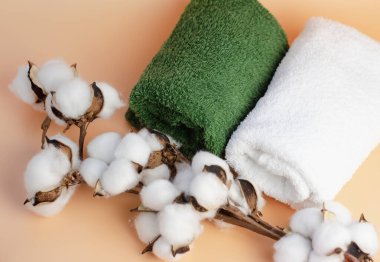 Yeşil ve beyaz, bej arka planda terry havlusu, pamuktan bir dal, yakın plan. Spa