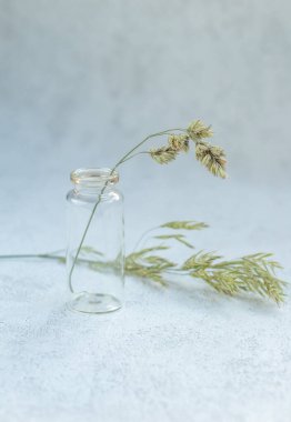 Beyaz arka planda küçük, şeffaf, cam bir şişe. Doğal, çevre dostu ürünler ve kozmetik ürünleri kavramı