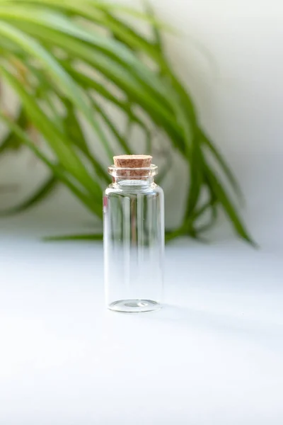 Egy Kicsi Átlátszó Fehér Hátterű Üvegpalack Természetes Környezetbarát Termékek Kozmetikumok Stock Kép