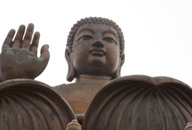 Tian Buda hong Kong tan
