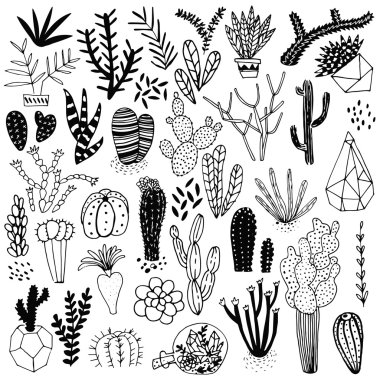 Elle çizilmiş kaktüs ve succulents. 