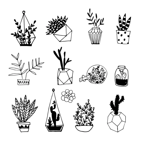 黑色和白色的仙人掌和多肉植物. — 图库矢量图片