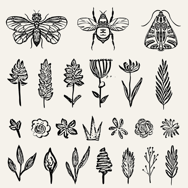 ink leaves, flowers and insects