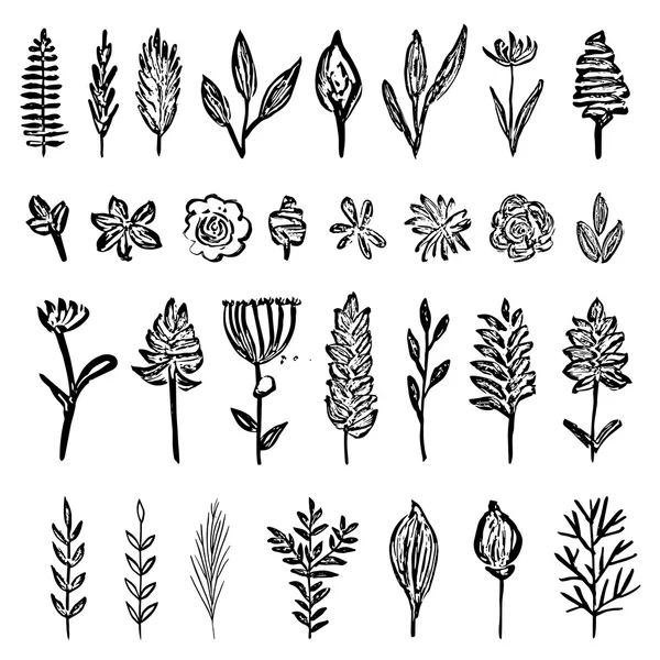 インクの葉と花のコレクション — ストックベクタ