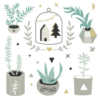 houseplants tencere ve ev dekorasyon
