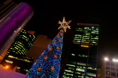 Büyük Noel ağacı ve şehir gökperleri