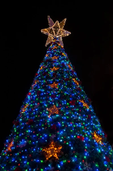 Lighten up giant christmas tree at night — Stock Photo, Image