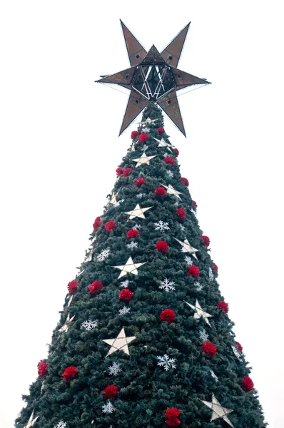 Albero di Natale con grande stella a dicembre — Foto Stock