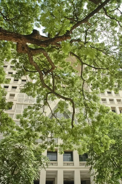 Viejo edificio post-moderno y árbol exuberante — Foto de Stock