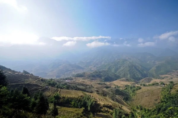Naturliga gröna ris gården berg i norra Vietnam — Stockfoto