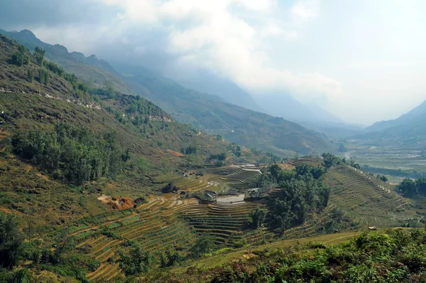 Doğal yeşil pirinç çiftlik dağ Kuzey Vietnam — Stok fotoğraf
