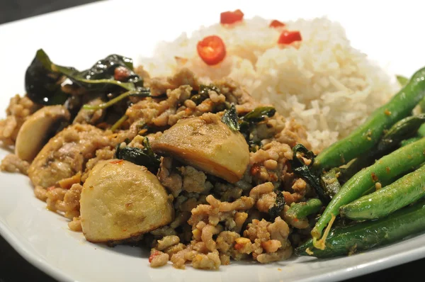 Thai Hackfleisch prok basilikum rühren gebraten mit grünen Bohnen — Stockfoto