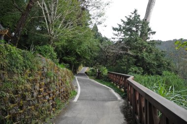 Asian Bahçe iz içinde uzun süre sarma küçük passgae