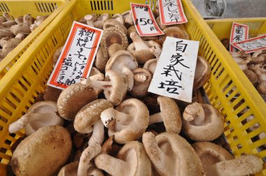 Fresh Japanese shitake brown mushrooms sold in local market clipart