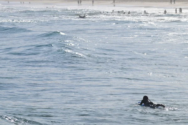 Surfista descansando en una ola pacífica en Bondi Beach Sydney Australia — Foto de Stock