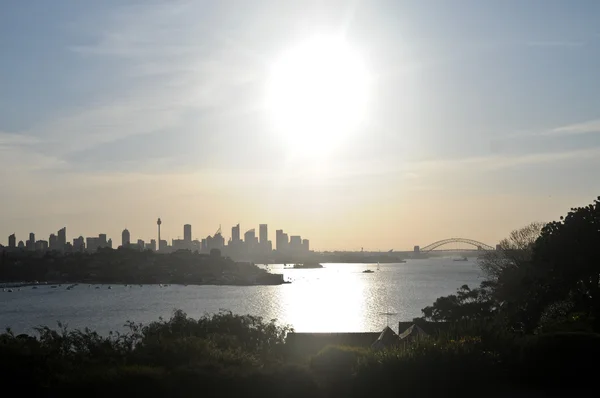 Escena del horizonte de la ciudad de Sydney en la tarde — Foto de Stock