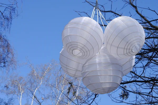 Lanternes en papier blanc chinois accrochées à une branche d'arbre — Photo