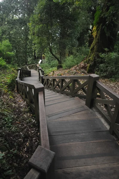 Viejas escaleras de madera hacia abajo en el jardín asiático en Taiwán — Foto de Stock