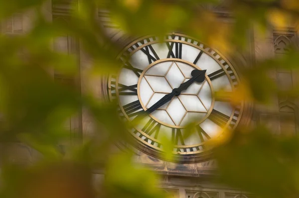 Grande orologio antico attraverso le foglie d'acero — Foto Stock