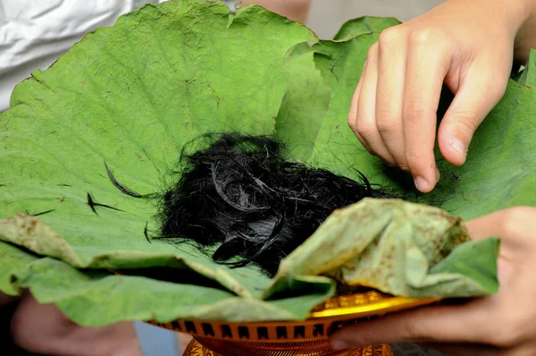 Hair on fresh lotus leaves tray from ordination of Thai monk — Stock Photo, Image