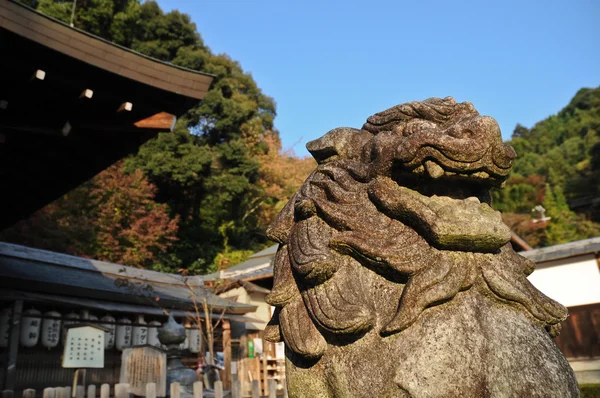 Japon taş aslan heykeli eski Tapınağı, Kyoto, Japonya — Stok fotoğraf