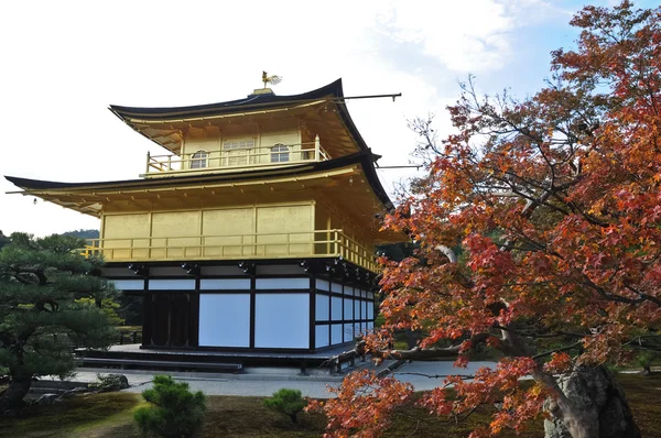 Pavilhão dourado japonês Kinkakuji e ácer vermelho no outono — Fotografia de Stock
