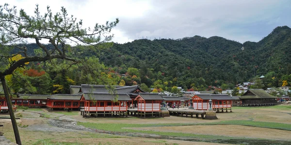 宫岛岛日本日本神圣木神社 — 图库照片