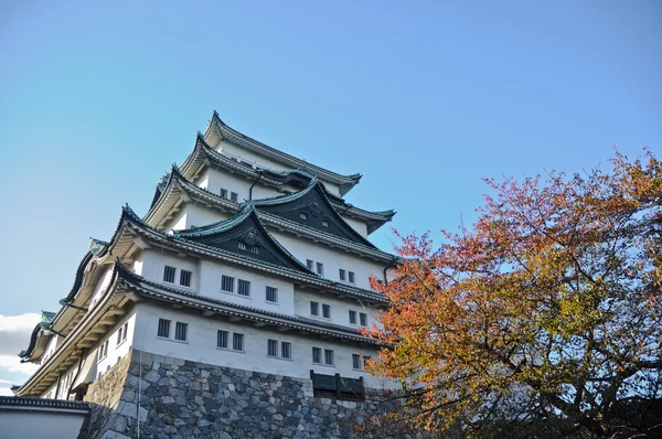 Antik Osaka Kalesi ve maple ağaçlar sonbahar Kansai Japonya'da — Stok fotoğraf