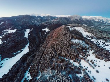 Güzel karlı havadan çekilmiş manzara ve ağaçlar, Noel tatili zamanı