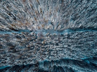 Güzel karlı havadan çekilmiş manzara ve ağaçlar, Noel tatili zamanı