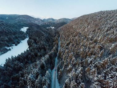 Güzel karlı havadan çekilmiş manzara ve ağaçlar, Noel tatili zamanı