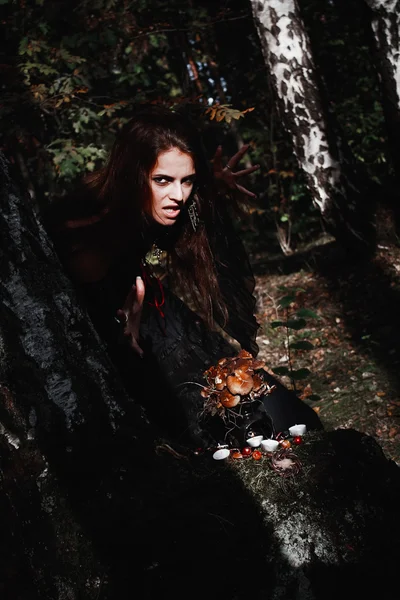 Strega di Halloween in una foresta buia. Bella giovane donna in costume da strega. Sfondo di orrore per il concetto di Halloween — Foto Stock