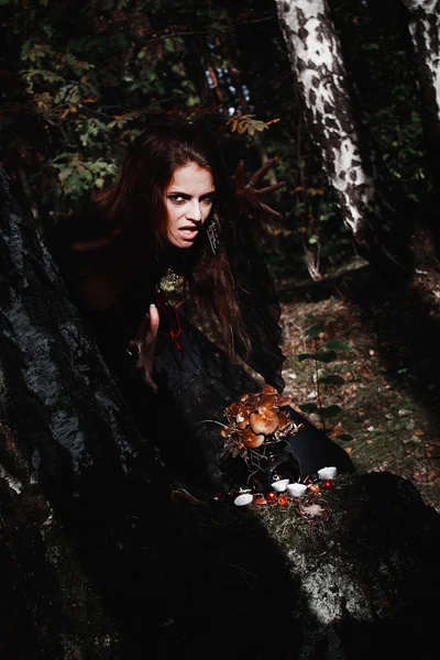 Bruja de Halloween en un bosque oscuro. Hermosa joven con disfraz de bruja. Fondo de horror para el concepto de Halloween — Foto de Stock