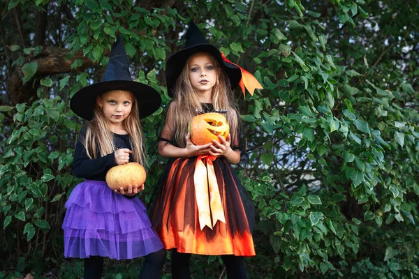 Halloween kleine meisjes in heks kostuum uit voor trick-or-treating — Stockfoto