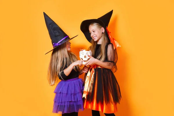 Turuncu arka planda Cadılar Bayramı kostümlü iki küçük cadı. — Stok fotoğraf